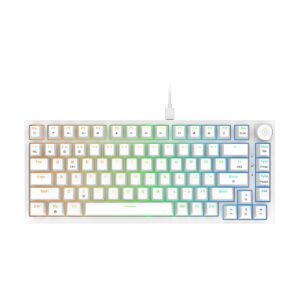 Cosmic Byte Phantom TKL Gasket (CB-GK-42) Mechanical Wired Swappable Keyboard with PreLubed Switches (White)